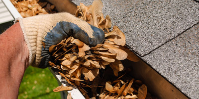 Mitcheltroy Common gutter cleaning prices