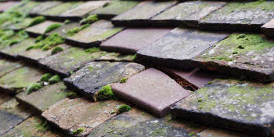 Mitcheltroy Common roof repair costs